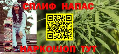 шишки Лесосибирск