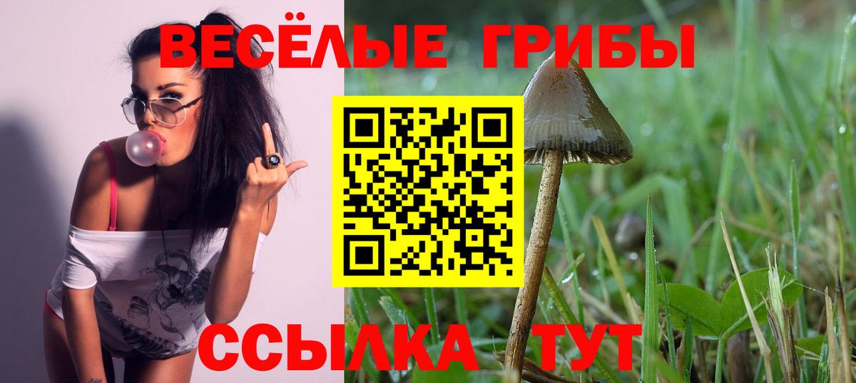 Галлюциногенные грибы мицелий  Вход с VPN  Элиста 